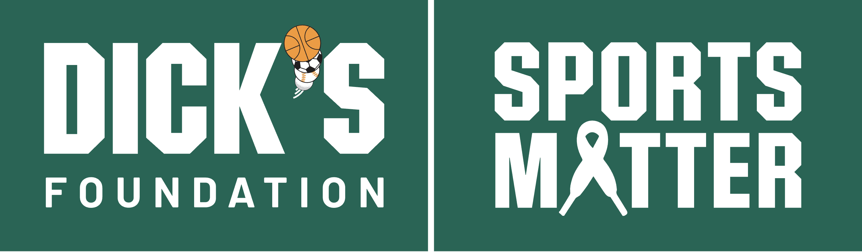 DICK'S Sporting Goods Foundation — Sports Matter